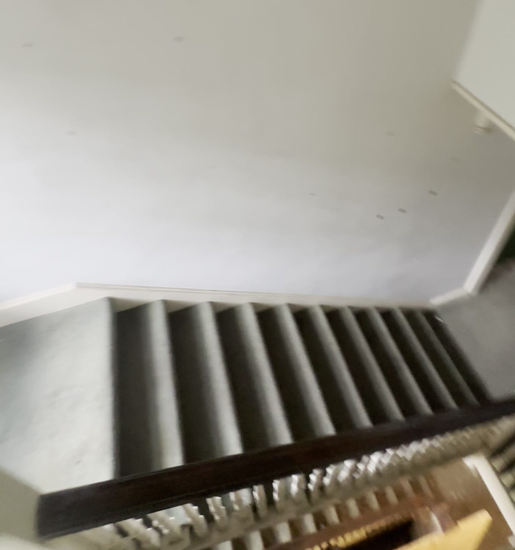Brookline: Carpeted staircase before